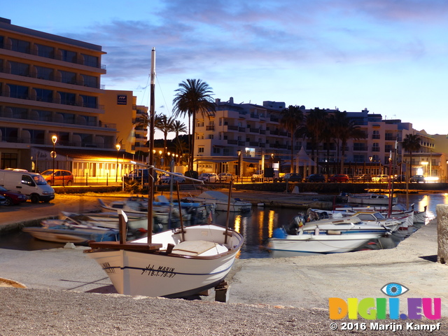 FZ026601 Boats in Es Canar harbour at dusk